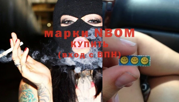 PSILOCYBIN Алзамай