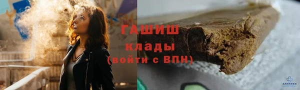 PSILOCYBIN Алзамай