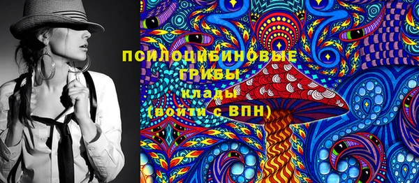 PSILOCYBIN Алзамай