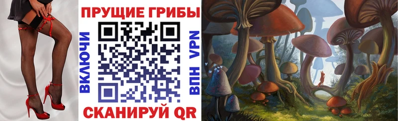 Галлюциногенные грибы MAGIC MUSHROOMS Калининск
